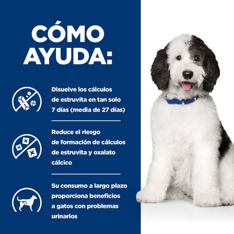 Hill's Prescription Diet Urinary Care c/d Pollo lata para perros, , large image number null